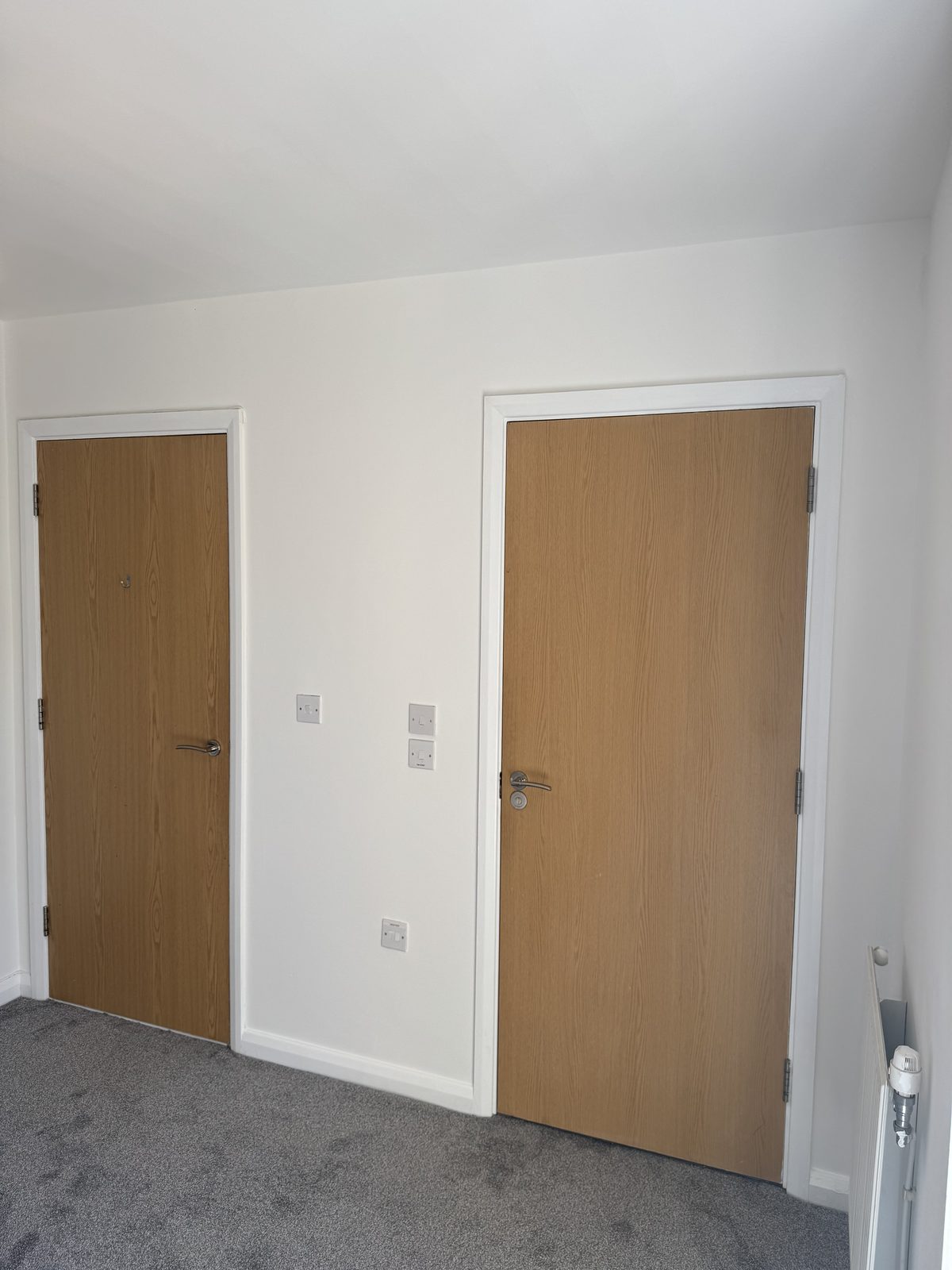 New oak-veneer doors with sockets and data points on freshly finished walls